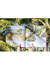 Trường Sa! Biển ấy là của mình