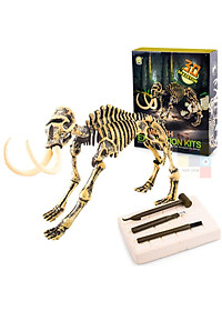 [Có sẵn] Mô hình Khủng Long hóa thạch - truy tìm dấu vết hóa thạch