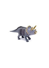product-img-12