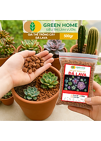 Đá Nham Thạch Lava GreenHome, Bao 500GR, Giá Thể Cho Thủy Sinh, Bonsai, Xương Rồng Màu Đỏ, Đen, Sạch Bụi