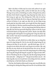 product-img-13