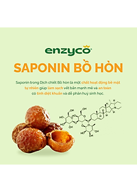 Nước rửa chén bát sinh học ENZYCO 850ml - Chiết xuất Bồ hòn và Enzyme Dứa