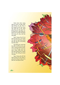 product-img-7