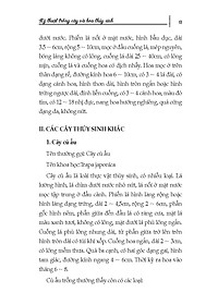 product-img-9