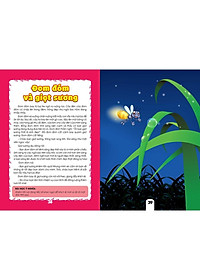 Sách - Truyện Ngụ Ngôn Và Câu Hỏi Thực Hành Ý Nghĩa - 95 Câu Chuyện Ngụ Ngôn Ý Nghĩa - 63 Câu Hỏi Thực Hành - Tập 2