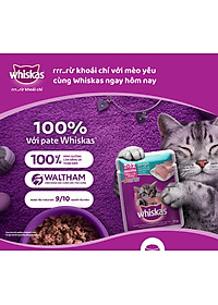 Pate Cho Mèo Con Vị Cá Ngừ Whiskas Kitten Hộp 12 Gói 80g 