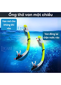 Ống Thở Bơi Lặn Biển Ngắm San Hô Đáy Biển Dã Ngoại Picnic