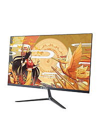 Màn hình Gaming E-DRA EGM24F1 24 inch FullHD 144hz - Hàng Chính Hãng
