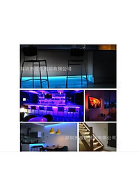 Đèn led trang trí 5m rgb có điều khiển từ xa 44 phím chống nước