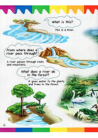 Sách My First Questions & Answers - Rainforest