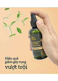 Combo 2 Chai xịt tinh dầu bưởi kích mọc tóc, giảm rụng tóc Pomelo Tabaha 120ml cho tóc dày và dài hơn gấp 2 đến 3 lần
