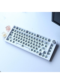 tachiuwa 68Keys Tester68 Mechanical Keyboard Kit ,Two Modes 2.4G/Bluetooth 5.0