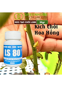 Keo Tạo Chồi LS80, Greenhome, Hũ 30gr, Tạo Mầm Tại Vị Trí Bất Kỳ, Có Chọn Lọc, Không Suy Cây, Đen Chồi