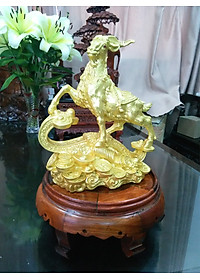 product-img-7