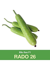 Hạt Giống Bầu Sao Lai F1 Rado 26 Rạng Đông (gói 10 hạt) , Sinh trưởng Mạnh, Kháng Bệnh Tốt, Thu sau 40_45 ngày Gieo