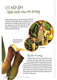 Sách Thực Vật Thần Kỳ