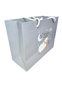 Túi Giấy Đựng Quà 27 x 20 cm - Greenwood 29