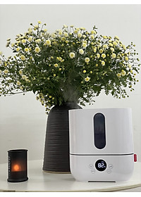 Máy Tạo Ẩm Thụy Sỹ BONECO U250 Công Nghệ Ultrasonic Phun Sương Nano Tạo Độ Ẩm Không Khí, Xông Tinh Dầu Thơm Phòng, Bộ Lọc Nước Khử Khuẩn- Hàng Chính Hãng