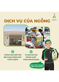 Gạo Ngỗng Sinh Thái ST25 - Gạo Sạch Ruộng Rươi Tôm Gói 700gr