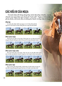 Sách Bách Khoa Tri Thức Về Khám Phá Thế Giới Cho Trẻ Em - Horses And Ponies - Loài Ngựa