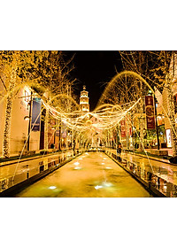 Đèn LED Rèm Treo Ngoài Trời Chống Thấm Nước - Nhiều Kích Cỡ