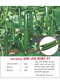 Hạt giống Dưa leo Nhật F1 quả to dài VTP112