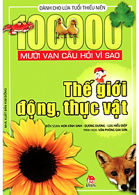 product-img-6