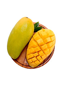 product-img-7