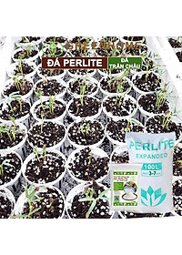 Đá Perlite Greenhome, Bao 300gr, Trồng Hồng, Thuỷ Canh, Giá Thể Trân Châu Giàu Khoáng Chất, Tăng Độ Tơi Xốp