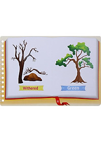 product-img-3