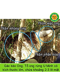 Mật Ong Rừng U Minh 300ml - OGINBEE, Thiên nhiên nguyên chất 100%