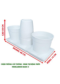 product-img-11