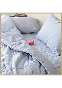 Chăn Chần Bông Arize Vải Microfiber Eva 1.5x2m, 2x2.3m