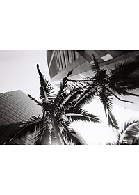 product-img-7