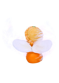 product-img-2