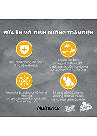 Thức Ăn Cho Chó Có Kích Thước Trung Bình, Lớn Nutrience lnfusion Bao 10kg - Thịt Gà Tây, Rau Củ & Trái Cây Tự Nhiên