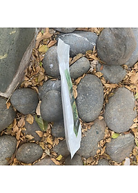 Bột tảo lục Chlorella hữu cơ Dragon Superfoods 200gr