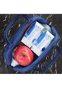 Túi Đựng Hộp Cơm Có Lớp Giữ Nhiệt Và Chống Thấm Phong Cách Hàn Quốc PaKaSa - Hàng Chính Hãng 