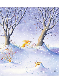 product-img-11