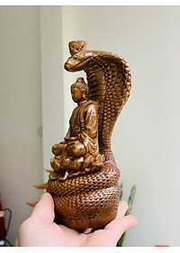 product-img-3