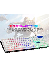 product-img-5