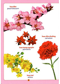 Sách Từ Điển Bằng Hình - Hoa, Quả, Rau, Củ