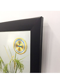 Gương soi Kibath có khung kích thước 40x50 cm