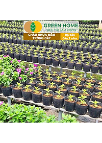 Chậu Trồng Cây Greenhome, nhiều kích thước, Nhựa Mềm, Dẻo, Nhẹ, Trồng Cây, Bầu Ươm Cây Giống, Độ Bền Đến 2 Năm