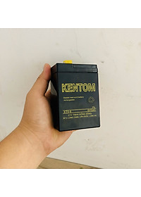 Bình ắc quy cho đèn sạc, xe đồ chơi trẻ em 6V 4.5AH