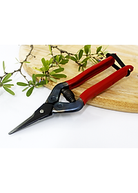 Kéo tỉa cành cao cấp Nhật Bản Chikamasa T-5C chiều dài lưỡi 35mm - lưỡi thép không gỉ chất lượng cao siêu bén - Cắt ngọt, không bám dính, liền sẹo nhanh