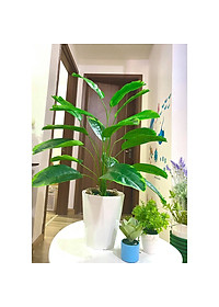 product-img-8
