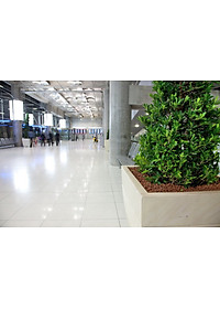 Viên đất sét nung (sỏi nhẹ leca / keramite) popper trồng xương rồng,sen đá, thủy canh, lọc nước THAILAND - 1 lít