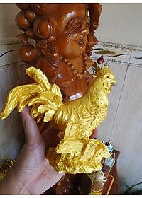 product-img-5