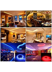 Cuộn Đèn LED Trang Trí Quấn Cây RGB Siêu Sáng, Dài 5M Kèm Remote 44 Phím